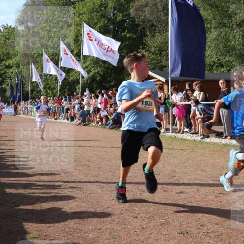 08.09.2024 - Airport Race Strokosch-Dieckow http://msf.ph/oto/7002544 08.09.2024 11:26:41 Ziel 1605, 1611, 1722, 1807, 1838, 1857, 1872, 1919, 1921, 1937, 1938, 1939 meine-sportfotos.de