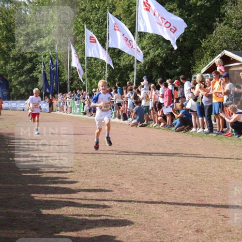 08.09.2024 - Airport Race Strokosch-Dieckow http://msf.ph/oto/7002556 08.09.2024 11:26:41 Ziel 1605, 1611, 1722, 1807, 1838, 1857, 1872, 1919, 1921, 1937, 1938, 1939 meine-sportfotos.de