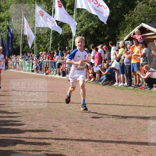 08.09.2024 - Airport Race Strokosch-Dieckow http://msf.ph/oto/7002585 08.09.2024 11:26:42 Ziel 1611, 1722, 1807, 1857, 1872, 1919, 1921, 1937, 1939 meine-sportfotos.de