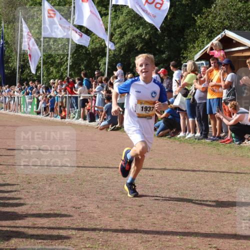 08.09.2024 - Airport Race Strokosch-Dieckow http://msf.ph/oto/7002599 08.09.2024 11:26:42 Ziel 1611, 1722, 1807, 1857, 1872, 1919, 1921, 1937, 1939 meine-sportfotos.de
