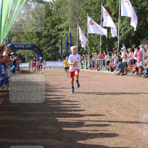 08.09.2024 - Airport Race Strokosch-Dieckow http://msf.ph/oto/7002623 08.09.2024 11:26:43 Ziel 1611, 1722, 1807, 1857, 1872, 1919, 1921, 1937, 1939, 3436 meine-sportfotos.de