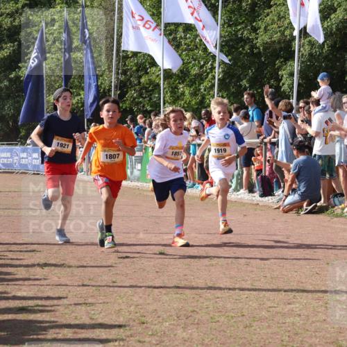 08.09.2024 - Airport Race Strokosch-Dieckow http://msf.ph/oto/7002810 08.09.2024 11:26:49 Ziel 1611, 1624, 1807, 1857, 1871, 1889, 1919, 1921, 3436, 3440 meine-sportfotos.de