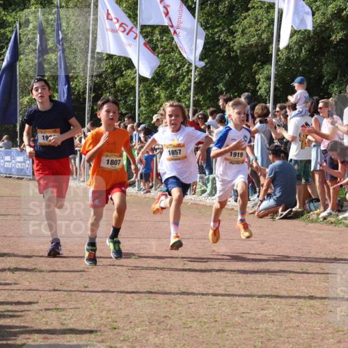 08.09.2024 - Airport Race Strokosch-Dieckow http://msf.ph/oto/7002827 08.09.2024 11:26:49 Ziel 1611, 1624, 1807, 1857, 1871, 1889, 1919, 1921, 3436, 3440 meine-sportfotos.de