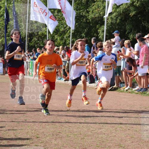 08.09.2024 - Airport Race Strokosch-Dieckow http://msf.ph/oto/7002840 08.09.2024 11:26:49 Ziel 1611, 1624, 1807, 1857, 1871, 1889, 1919, 1921, 3436, 3440 meine-sportfotos.de