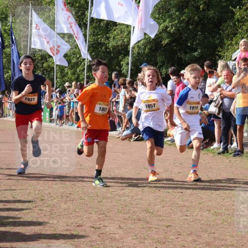 08.09.2024 - Airport Race Strokosch-Dieckow http://msf.ph/oto/7002873 08.09.2024 11:26:49 Ziel 1611, 1624, 1807, 1857, 1871, 1889, 1919, 1921, 3436, 3440 meine-sportfotos.de