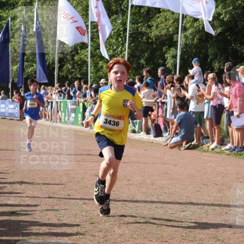 08.09.2024 - Airport Race Strokosch-Dieckow http://msf.ph/oto/7002974 08.09.2024 11:26:53 Ziel 1624, 1871, 1874, 1889, 3436, 3440, 3444 meine-sportfotos.de