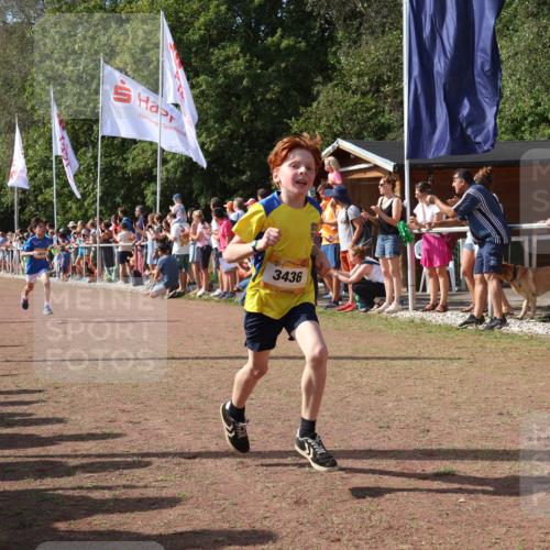 08.09.2024 - Airport Race Strokosch-Dieckow http://msf.ph/oto/7003032 08.09.2024 11:26:54 Ziel 1624, 1747, 1871, 1874, 1889, 3436, 3440, 3444, 3451 meine-sportfotos.de