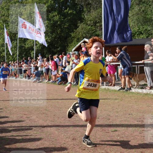 08.09.2024 - Airport Race Strokosch-Dieckow http://msf.ph/oto/7003052 08.09.2024 11:26:54 Ziel 1624, 1747, 1871, 1874, 1889, 3436, 3440, 3444, 3451 meine-sportfotos.de