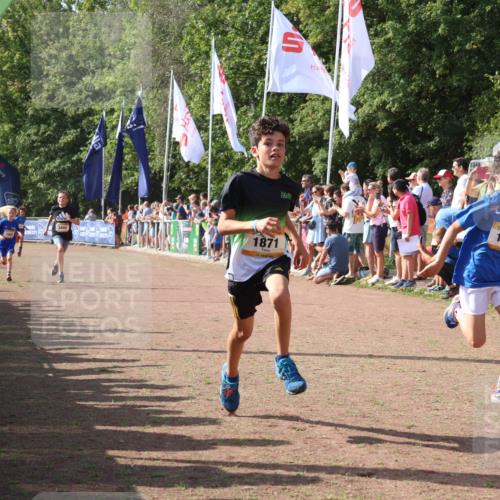 08.09.2024 - Airport Race Strokosch-Dieckow http://msf.ph/oto/7003106 08.09.2024 11:26:56 Ziel 1624, 1727, 1745, 1747, 1871, 1874, 1889, 3440, 3444, 3451 meine-sportfotos.de