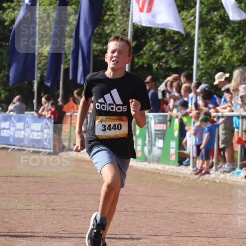 08.09.2024 - Airport Race Strokosch-Dieckow http://msf.ph/oto/7003135 08.09.2024 11:26:57 Ziel 1727, 1745, 1747, 1874, 1889, 3440, 3444, 3451 meine-sportfotos.de
