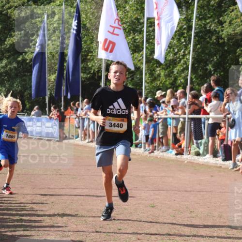 08.09.2024 - Airport Race Strokosch-Dieckow http://msf.ph/oto/7003148 08.09.2024 11:26:58 Ziel 1727, 1745, 1747, 1751, 1874, 1889, 3440, 3444, 3451 meine-sportfotos.de
