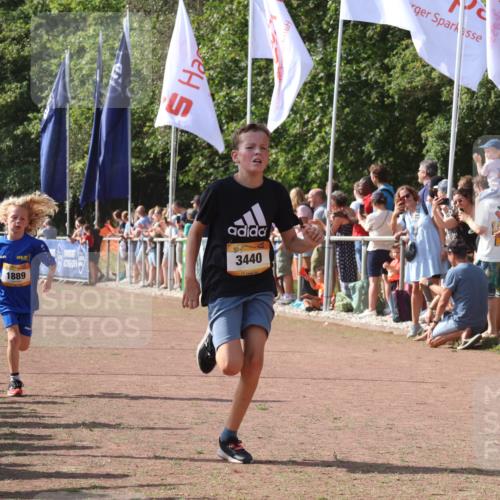 08.09.2024 - Airport Race Strokosch-Dieckow http://msf.ph/oto/7003162 08.09.2024 11:26:58 Ziel 1727, 1745, 1747, 1751, 1874, 1889, 3440, 3444, 3451 meine-sportfotos.de