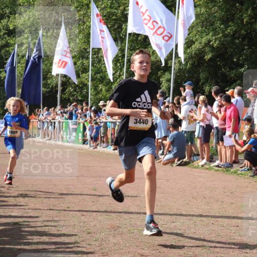 08.09.2024 - Airport Race Strokosch-Dieckow http://msf.ph/oto/7003187 08.09.2024 11:26:58 Ziel 1727, 1745, 1747, 1751, 1874, 1889, 3440, 3444, 3451 meine-sportfotos.de