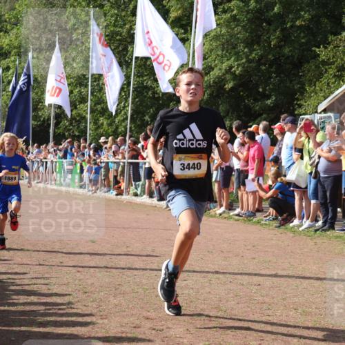 08.09.2024 - Airport Race Strokosch-Dieckow http://msf.ph/oto/7003200 08.09.2024 11:26:59 Ziel 1727, 1745, 1747, 1751, 1874, 1889, 3440, 3444, 3451 meine-sportfotos.de