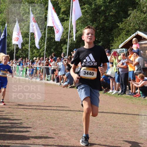 08.09.2024 - Airport Race Strokosch-Dieckow http://msf.ph/oto/7003214 08.09.2024 11:26:59 Ziel 1727, 1745, 1747, 1751, 1874, 1889, 3440, 3444, 3451 meine-sportfotos.de