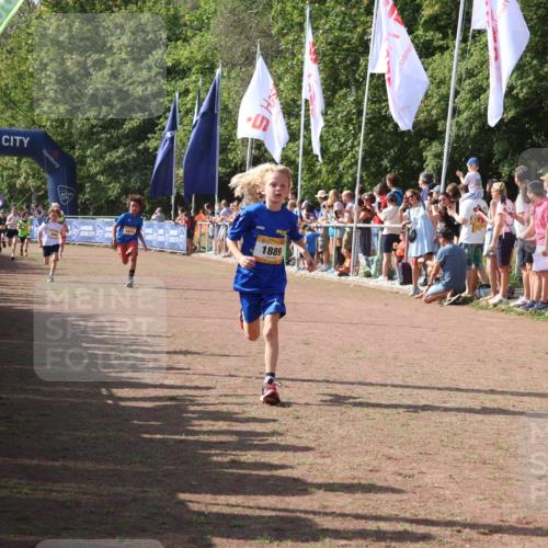 08.09.2024 - Airport Race Strokosch-Dieckow http://msf.ph/oto/7003231 08.09.2024 11:26:59 Ziel 1727, 1745, 1747, 1751, 1874, 1889, 3440, 3444, 3451 meine-sportfotos.de