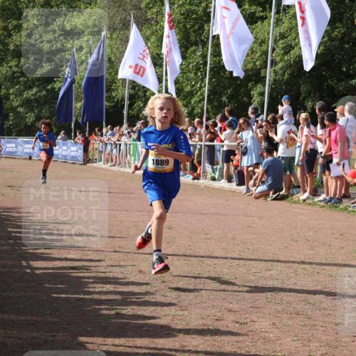 08.09.2024 - Airport Race Strokosch-Dieckow http://msf.ph/oto/7003245 08.09.2024 11:27:00 Ziel 1727, 1745, 1747, 1751, 1874, 1889, 3440, 3444, 3451 meine-sportfotos.de