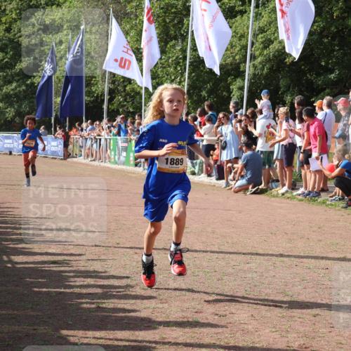 08.09.2024 - Airport Race Strokosch-Dieckow http://msf.ph/oto/7003255 08.09.2024 11:27:00 Ziel 1727, 1745, 1747, 1751, 1874, 1889, 3440, 3444, 3451 meine-sportfotos.de