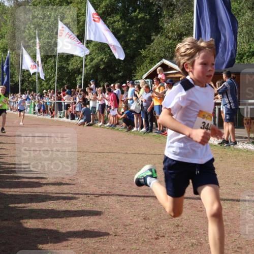 08.09.2024 - Airport Race Strokosch-Dieckow http://msf.ph/oto/7003493 08.09.2024 11:27:04 Ziel 1727, 1745, 1747, 1751, 1867, 1874, 3444, 3451 meine-sportfotos.de