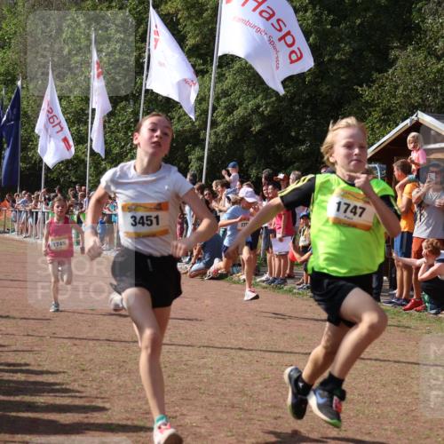 08.09.2024 - Airport Race Strokosch-Dieckow http://msf.ph/oto/7003544 08.09.2024 11:27:06 Ziel 1649, 1707, 1727, 1745, 1747, 1751, 1867, 1898, 3451 meine-sportfotos.de