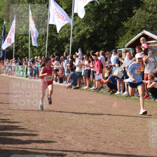 08.09.2024 - Airport Race Strokosch-Dieckow http://msf.ph/oto/7003584 08.09.2024 11:27:07 Ziel 1649, 1707, 1727, 1745, 1751, 1867, 1893, 1898 meine-sportfotos.de