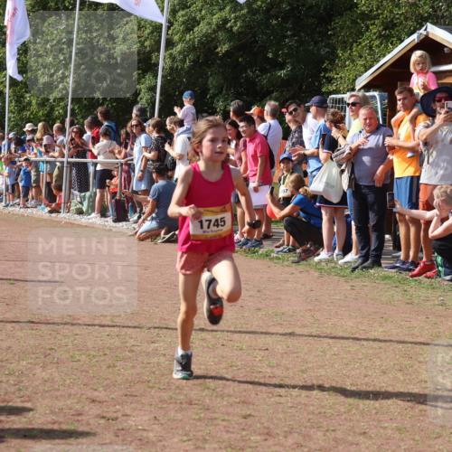 08.09.2024 - Airport Race Strokosch-Dieckow http://msf.ph/oto/7003600 08.09.2024 11:27:07 Ziel 1649, 1707, 1727, 1745, 1751, 1867, 1893, 1898 meine-sportfotos.de