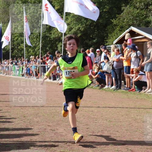 08.09.2024 - Airport Race Strokosch-Dieckow http://msf.ph/oto/7003698 08.09.2024 11:27:09 Ziel 1649, 1707, 1751, 1867, 1893, 1898, 1914 meine-sportfotos.de