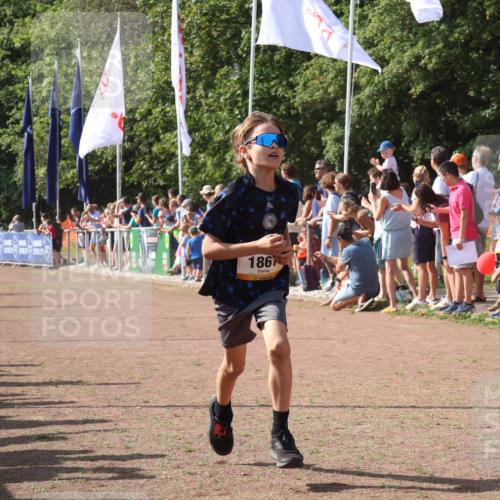 08.09.2024 - Airport Race Strokosch-Dieckow http://msf.ph/oto/7003762 08.09.2024 11:27:12 Ziel 1649, 1650, 1703, 1707, 1717, 1862, 1867, 1893, 1898, 1914 meine-sportfotos.de
