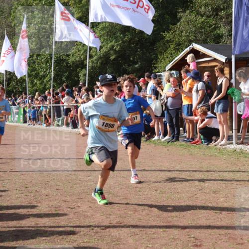 08.09.2024 - Airport Race Strokosch-Dieckow http://msf.ph/oto/7003930 08.09.2024 11:27:16 Ziel 1649, 1650, 1702, 1703, 1707, 1717, 1748, 1848, 1862, 1893, 1898, 1914, 1934 meine-sportfotos.de