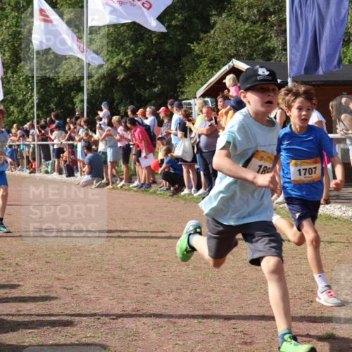 08.09.2024 - Airport Race Strokosch-Dieckow http://msf.ph/oto/7003958 08.09.2024 11:27:17 Ziel 1649, 1650, 1702, 1703, 1707, 1717, 1748, 1848, 1862, 1893, 1898, 1914, 1934 meine-sportfotos.de