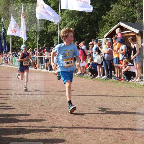 08.09.2024 - Airport Race Strokosch-Dieckow http://msf.ph/oto/7003998 08.09.2024 11:27:18 Ziel 1650, 1702, 1703, 1717, 1748, 1848, 1862, 1893, 1898, 1914, 1934 meine-sportfotos.de