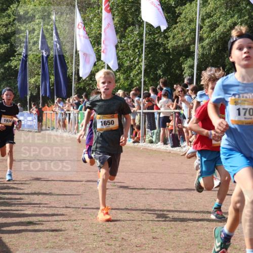 08.09.2024 - Airport Race Strokosch-Dieckow http://msf.ph/oto/7004131 08.09.2024 11:27:21 Ziel 1615, 1616, 1650, 1702, 1703, 1717, 1748, 1777, 1848, 1862, 1899, 1932, 1934, 3421 meine-sportfotos.de
