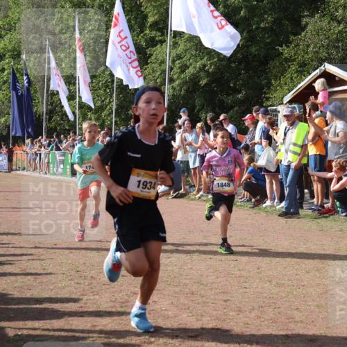 08.09.2024 - Airport Race Strokosch-Dieckow http://msf.ph/oto/7004256 08.09.2024 11:27:24 Ziel 1615, 1616, 1702, 1717, 1748, 1777, 1823, 1840, 1848, 1862, 1883, 1899, 1932, 1934, 3421, 3425, 3452 meine-sportfotos.de