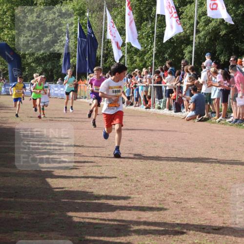 08.09.2024 - Airport Race Strokosch-Dieckow http://msf.ph/oto/7004342 08.09.2024 11:27:27 Ziel 1615, 1616, 1748, 1777, 1823, 1840, 1883, 1899, 1932, 3421, 3425, 3452 meine-sportfotos.de