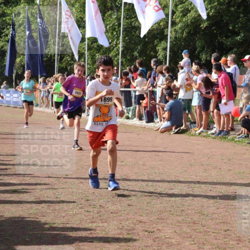 08.09.2024 - Airport Race Strokosch-Dieckow http://msf.ph/oto/7004353 08.09.2024 11:27:27 Ziel 1615, 1616, 1748, 1777, 1823, 1840, 1883, 1899, 1932, 3421, 3425, 3452 meine-sportfotos.de