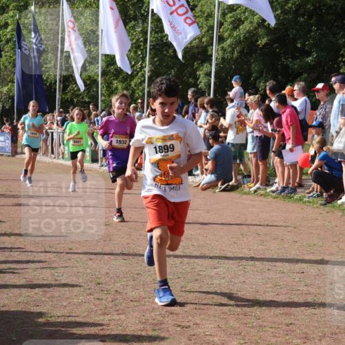 08.09.2024 - Airport Race Strokosch-Dieckow http://msf.ph/oto/7004365 08.09.2024 11:27:28 Ziel 1615, 1616, 1777, 1823, 1831, 1840, 1875, 1883, 1899, 1932, 3421, 3425, 3452 meine-sportfotos.de