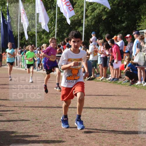 08.09.2024 - Airport Race Strokosch-Dieckow http://msf.ph/oto/7004374 08.09.2024 11:27:28 Ziel 1615, 1616, 1777, 1823, 1831, 1840, 1875, 1883, 1899, 1932, 3421, 3425, 3452 meine-sportfotos.de
