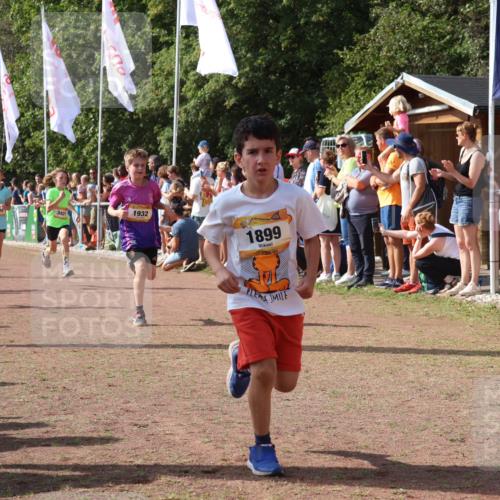 08.09.2024 - Airport Race Strokosch-Dieckow http://msf.ph/oto/7004408 08.09.2024 11:27:28 Ziel 1615, 1616, 1777, 1823, 1831, 1840, 1875, 1883, 1899, 1932, 3421, 3425, 3452 meine-sportfotos.de