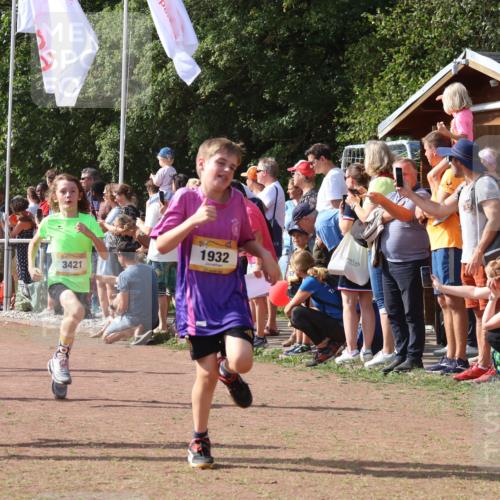 08.09.2024 - Airport Race Strokosch-Dieckow http://msf.ph/oto/7004435 08.09.2024 11:27:29 Ziel 1615, 1616, 1777, 1823, 1831, 1840, 1875, 1883, 1899, 1932, 3421, 3425, 3452 meine-sportfotos.de