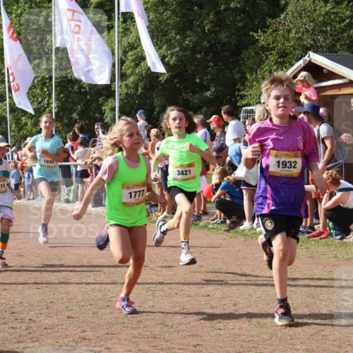 08.09.2024 - Airport Race Strokosch-Dieckow http://msf.ph/oto/7004476 08.09.2024 11:27:30 Ziel 1615, 1616, 1777, 1823, 1831, 1840, 1875, 1883, 1899, 1932, 3421, 3425, 3452 meine-sportfotos.de