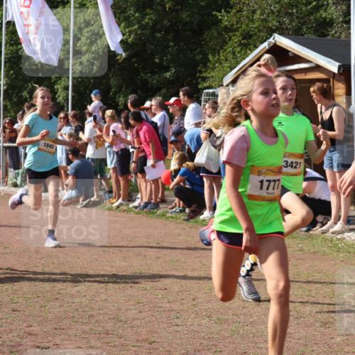 08.09.2024 - Airport Race Strokosch-Dieckow http://msf.ph/oto/7004504 08.09.2024 11:27:30 Ziel 1615, 1616, 1777, 1823, 1831, 1840, 1875, 1883, 1899, 1932, 3421, 3425, 3452 meine-sportfotos.de