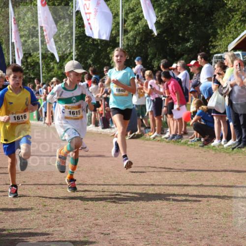 08.09.2024 - Airport Race Strokosch-Dieckow http://msf.ph/oto/7004519 08.09.2024 11:27:31 Ziel 1615, 1616, 1777, 1823, 1831, 1840, 1875, 1883, 1899, 1932, 3421, 3425, 3452 meine-sportfotos.de