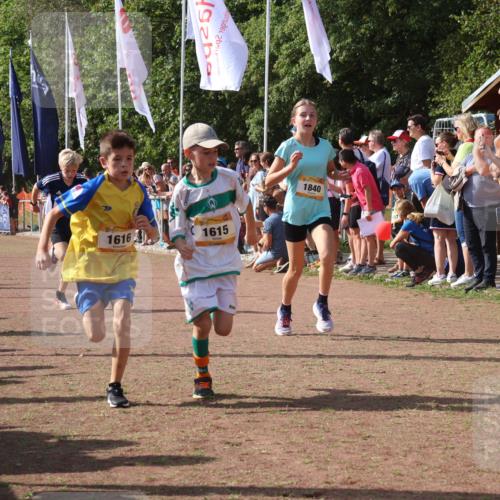 08.09.2024 - Airport Race Strokosch-Dieckow http://msf.ph/oto/7004536 08.09.2024 11:27:31 Ziel 1615, 1616, 1777, 1823, 1831, 1840, 1875, 1883, 1899, 1932, 3421, 3425, 3452 meine-sportfotos.de
