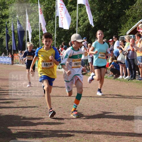 08.09.2024 - Airport Race Strokosch-Dieckow http://msf.ph/oto/7004552 08.09.2024 11:27:31 Ziel 1615, 1616, 1777, 1823, 1831, 1840, 1875, 1883, 1899, 1932, 3421, 3425, 3452 meine-sportfotos.de