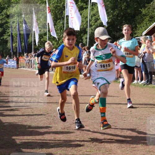 08.09.2024 - Airport Race Strokosch-Dieckow http://msf.ph/oto/7004567 08.09.2024 11:27:31 Ziel 1615, 1616, 1777, 1823, 1831, 1840, 1875, 1883, 1899, 1932, 3421, 3425, 3452 meine-sportfotos.de