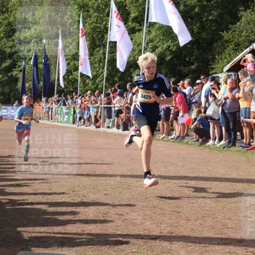 08.09.2024 - Airport Race Strokosch-Dieckow http://msf.ph/oto/7004609 08.09.2024 11:27:32 Ziel 1615, 1616, 1823, 1831, 1840, 1869, 1875, 1883, 3425, 3452 meine-sportfotos.de