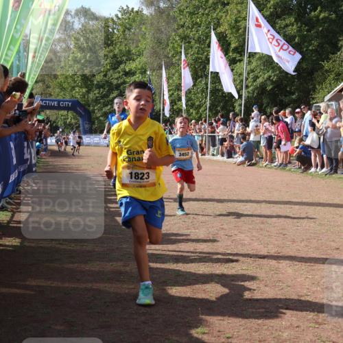 08.09.2024 - Airport Race Strokosch-Dieckow http://msf.ph/oto/7004656 08.09.2024 11:27:33 Ziel 1608, 1823, 1831, 1840, 1869, 1875, 1883, 1900, 3425, 3452 meine-sportfotos.de