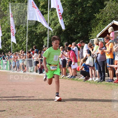 08.09.2024 - Airport Race Strokosch-Dieckow http://msf.ph/oto/7004847 08.09.2024 11:27:37 Ziel 1608, 1781, 1808, 1831, 1869, 1875, 1900, 1904, 3405, 3446 meine-sportfotos.de