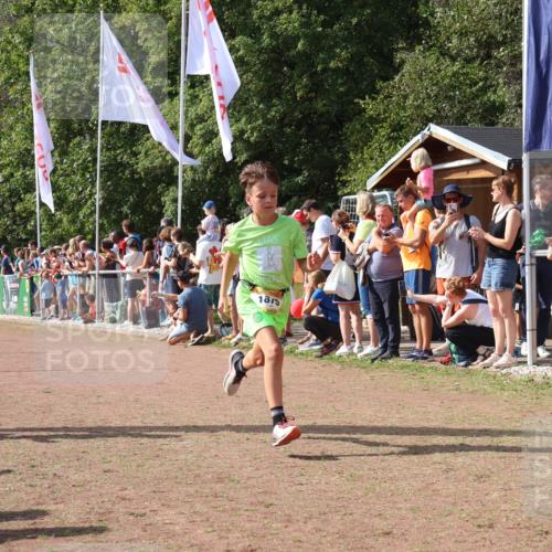08.09.2024 - Airport Race Strokosch-Dieckow http://msf.ph/oto/7004865 08.09.2024 11:27:38 Ziel 1608, 1781, 1808, 1820, 1831, 1869, 1875, 1900, 1904, 3405, 3416, 3417, 3446 meine-sportfotos.de