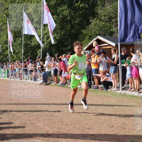 08.09.2024 - Airport Race Strokosch-Dieckow http://msf.ph/oto/7004881 08.09.2024 11:27:38 Ziel 1608, 1781, 1808, 1820, 1831, 1869, 1875, 1900, 1904, 3405, 3416, 3417, 3446 meine-sportfotos.de